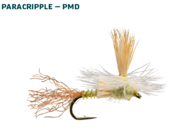 RIO Dry Fly Assortment PMD RIO Dry Fly Assortment PMD